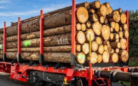 DB Cargo Polska chce kupić wagony do przewozu drewna