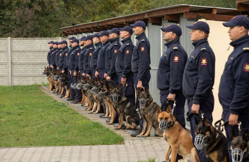 21 nowych psów służbowych wspomoże funkcjonariuszy SOK w codziennej służbie